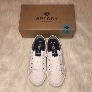 women's lounge ltt canvas sneaker